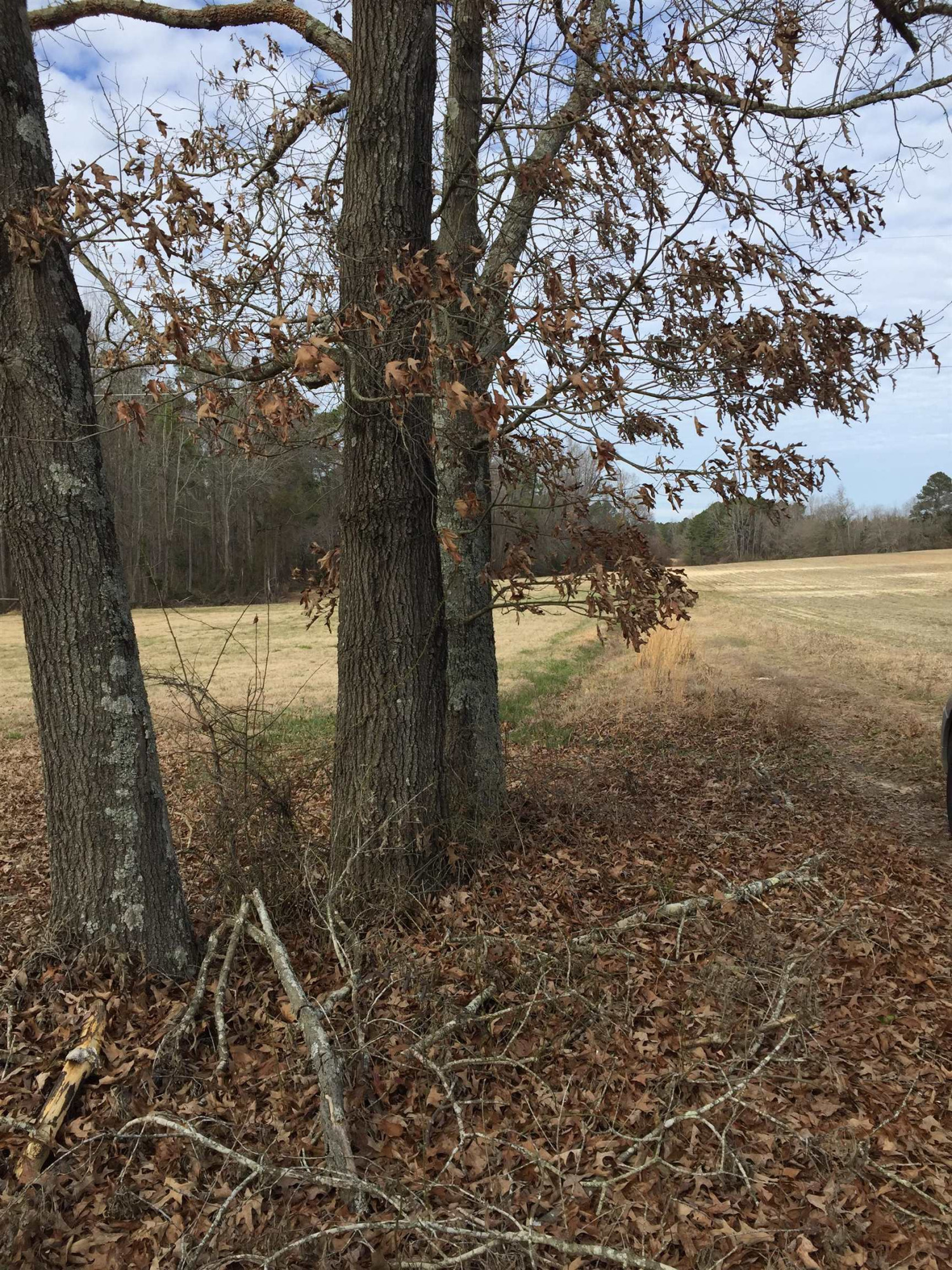 Brick Mill Road Coats, NC 27521 - Photo 5 of 10 Photo 5