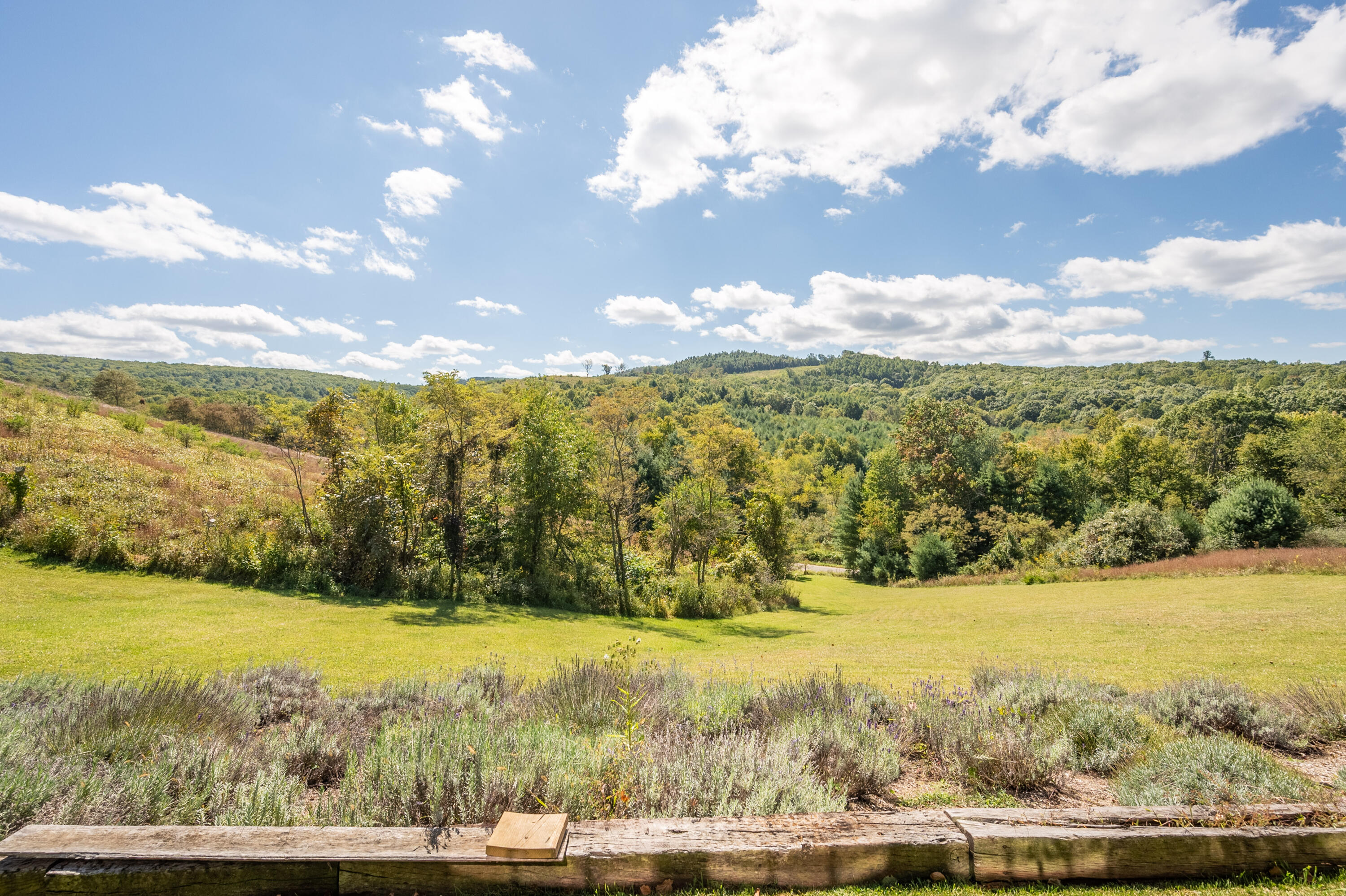 877 Old Furnace Road Southwest Floyd, VA 24091 - Photo 71 of 74 floyd-75