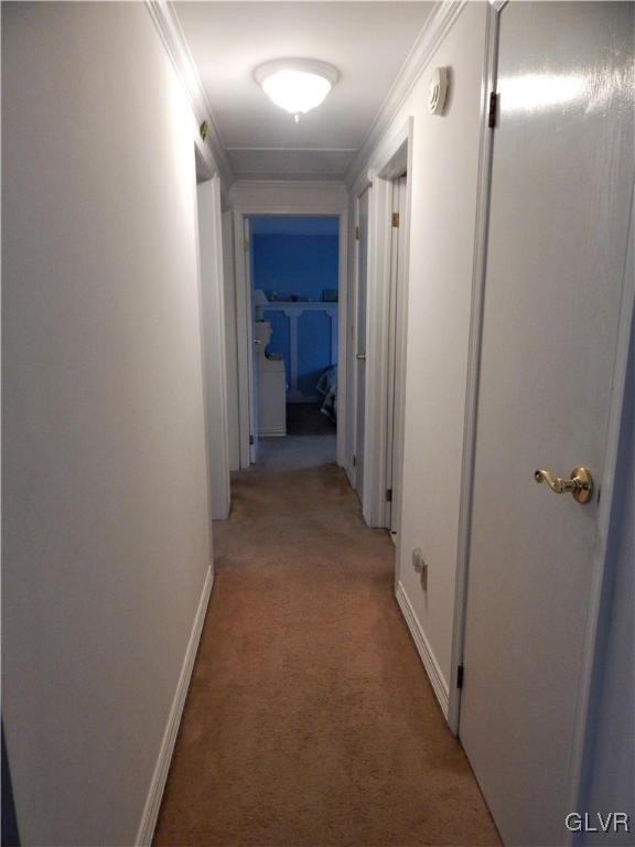 31 Pinetree Road Albrightsville, PA 18210 - Photo 10 of 17 Gallery Image 10