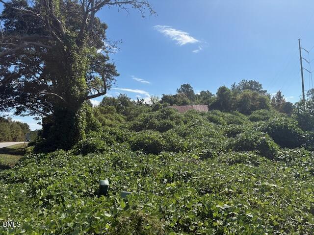 2781 Highway 581 Spring Hope, NC 27882 - Photo 5 of 16 2781 NC581