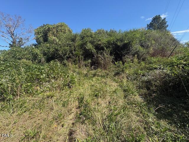 2781 Highway 581 Spring Hope, NC 27882 - Photo 7 of 16 2781 NC581