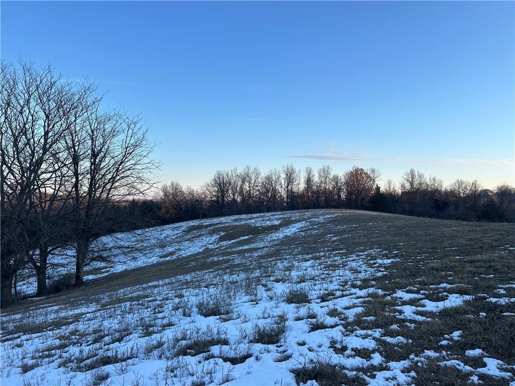 Albany Road Orrick, MO 64077 - Photo 5 of 7