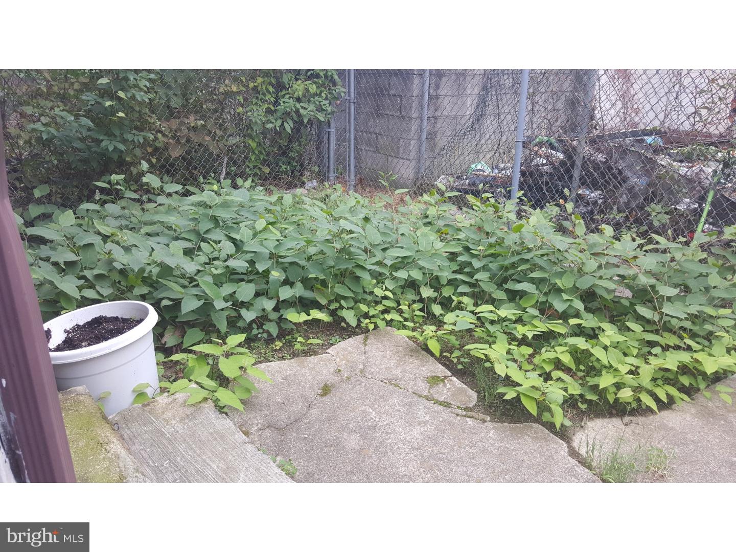 5133 Ranstead Street Philadelphia, PA 19139 - Photo 23 of 25 Back Yard
