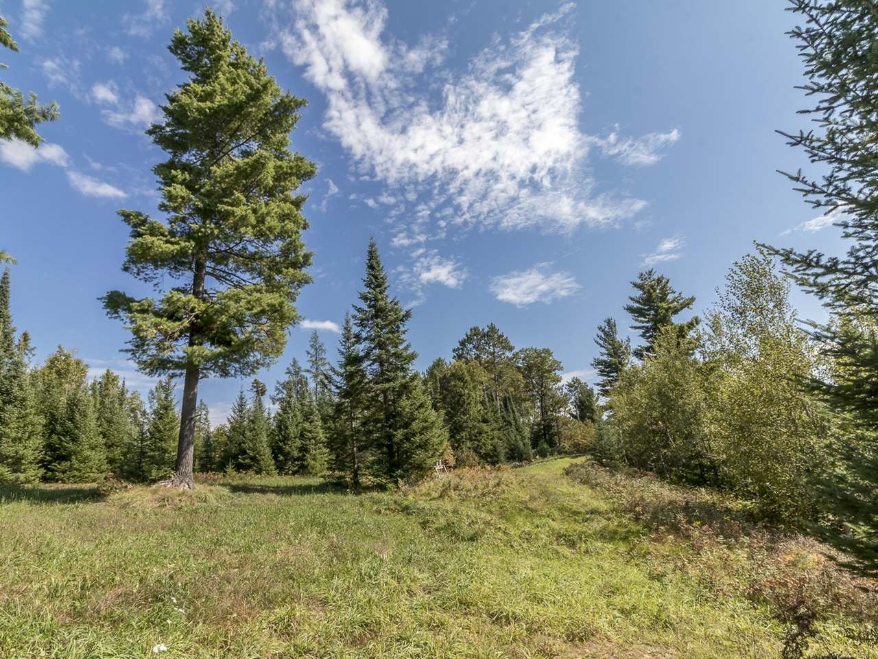 10451 Blue Lake Road Minocqua, WI 54548 - Photo 11 of 53 Gallery Image 11