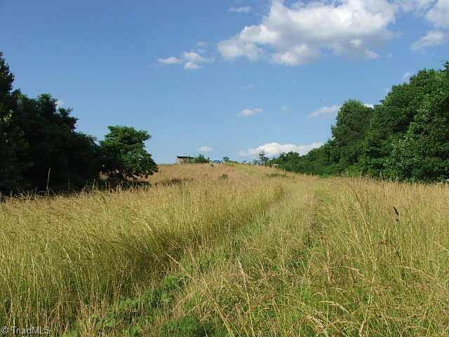 0 Chestnut Ridge Lane Danbury, NC 27016 - Photo 4 of 6 Other.