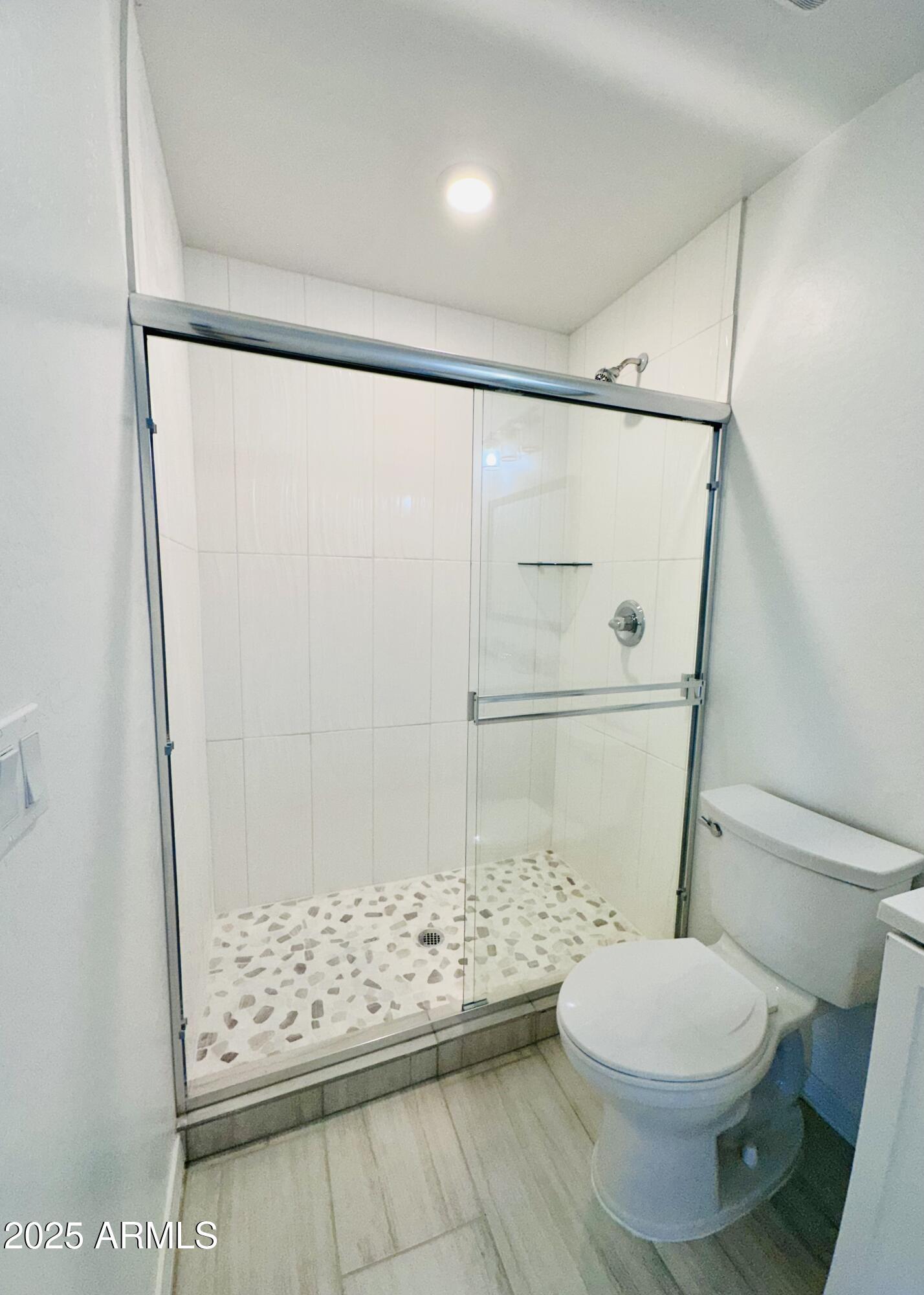 32007 North Bush Street Wittmann, AZ 85361 - Photo 11 of 22 a bathroom with a shower and a toilet