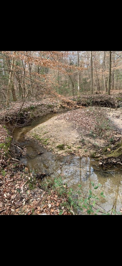 . Mt Gilead Road Smithdale, MS 39664 - Photo 1 of 20 Main View