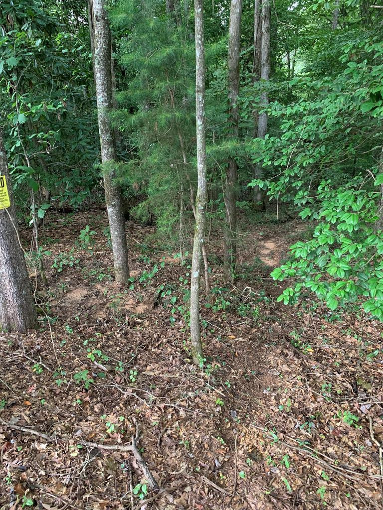 . Mt Gilead Road Smithdale, MS 39664 - Photo 11 of 20 Photo 11