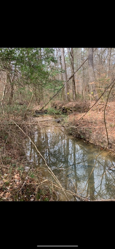 . Mt Gilead Road Smithdale, MS 39664 - Photo 12 of 20 Photo 12