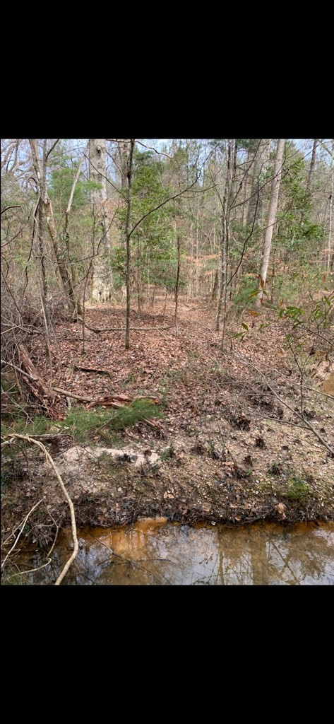 . Mt Gilead Road Smithdale, MS 39664 - Photo 13 of 20 Photo 13