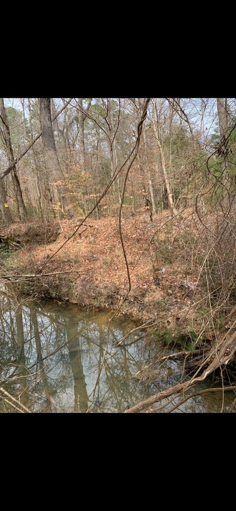 . Mt Gilead Road Smithdale, MS 39664 - Photo 14 of 20 Photo 14