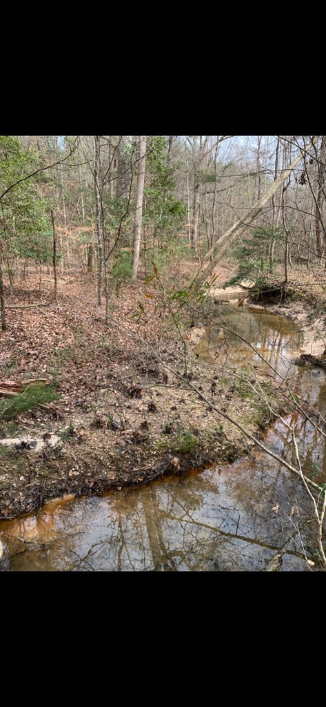 . Mt Gilead Road Smithdale, MS 39664 - Photo 15 of 20 Photo 15