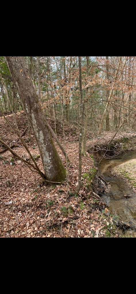 . Mt Gilead Road Smithdale, MS 39664 - Photo 18 of 20 Photo 18