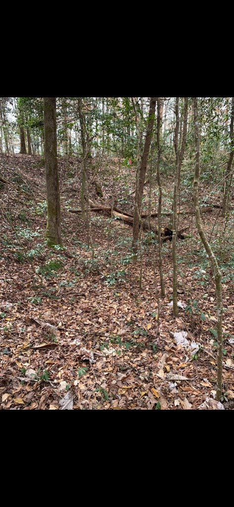 . Mt Gilead Road Smithdale, MS 39664 - Photo 19 of 20 Photo 19