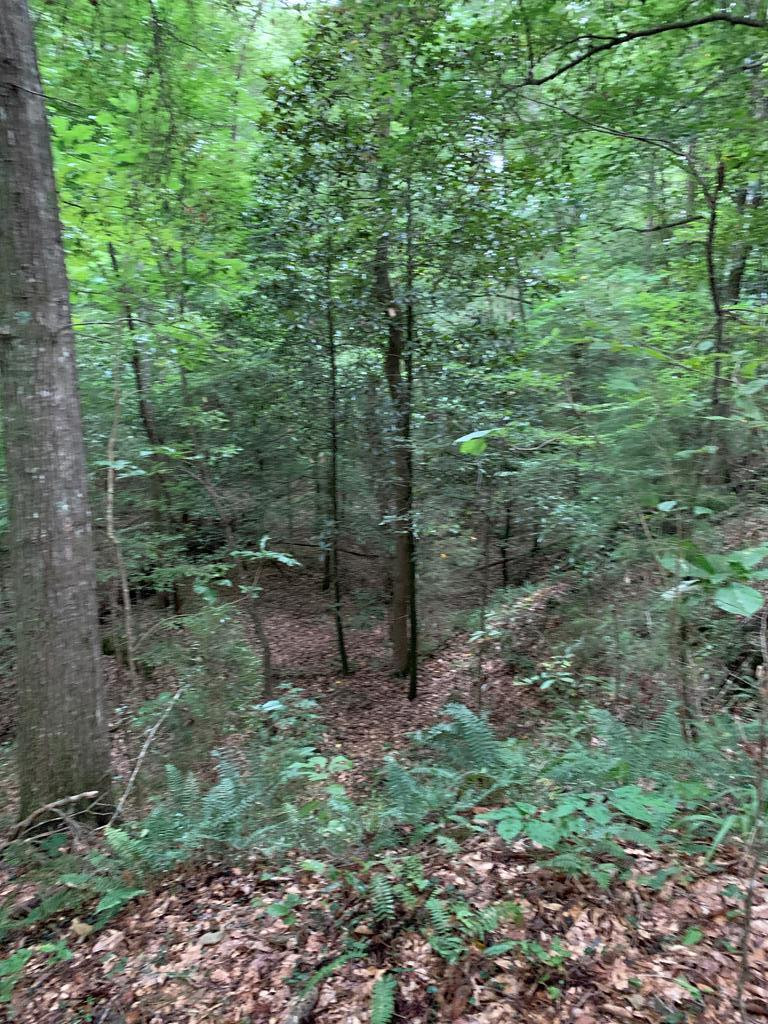 . Mt Gilead Road Smithdale, MS 39664 - Photo 5 of 20 Photo 5