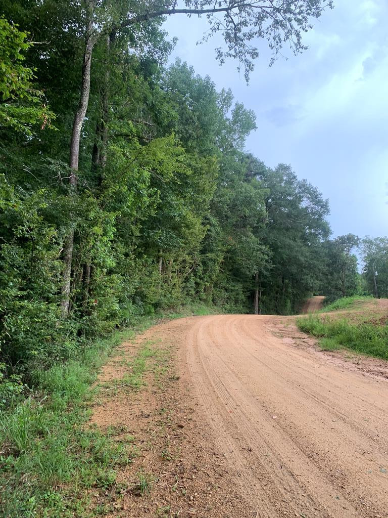 . Mt Gilead Road Smithdale, MS 39664 - Photo 7 of 20 Photo 7