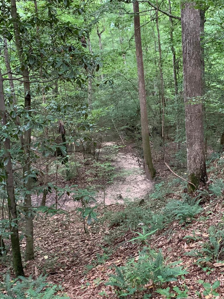 . Mt Gilead Road Smithdale, MS 39664 - Photo 8 of 20 Photo 8