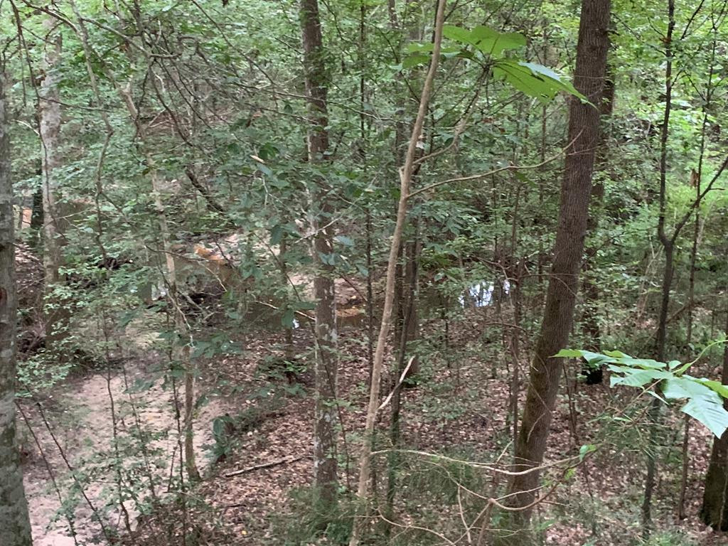 . Mt Gilead Road Smithdale, MS 39664 - Photo 9 of 20 Photo 9