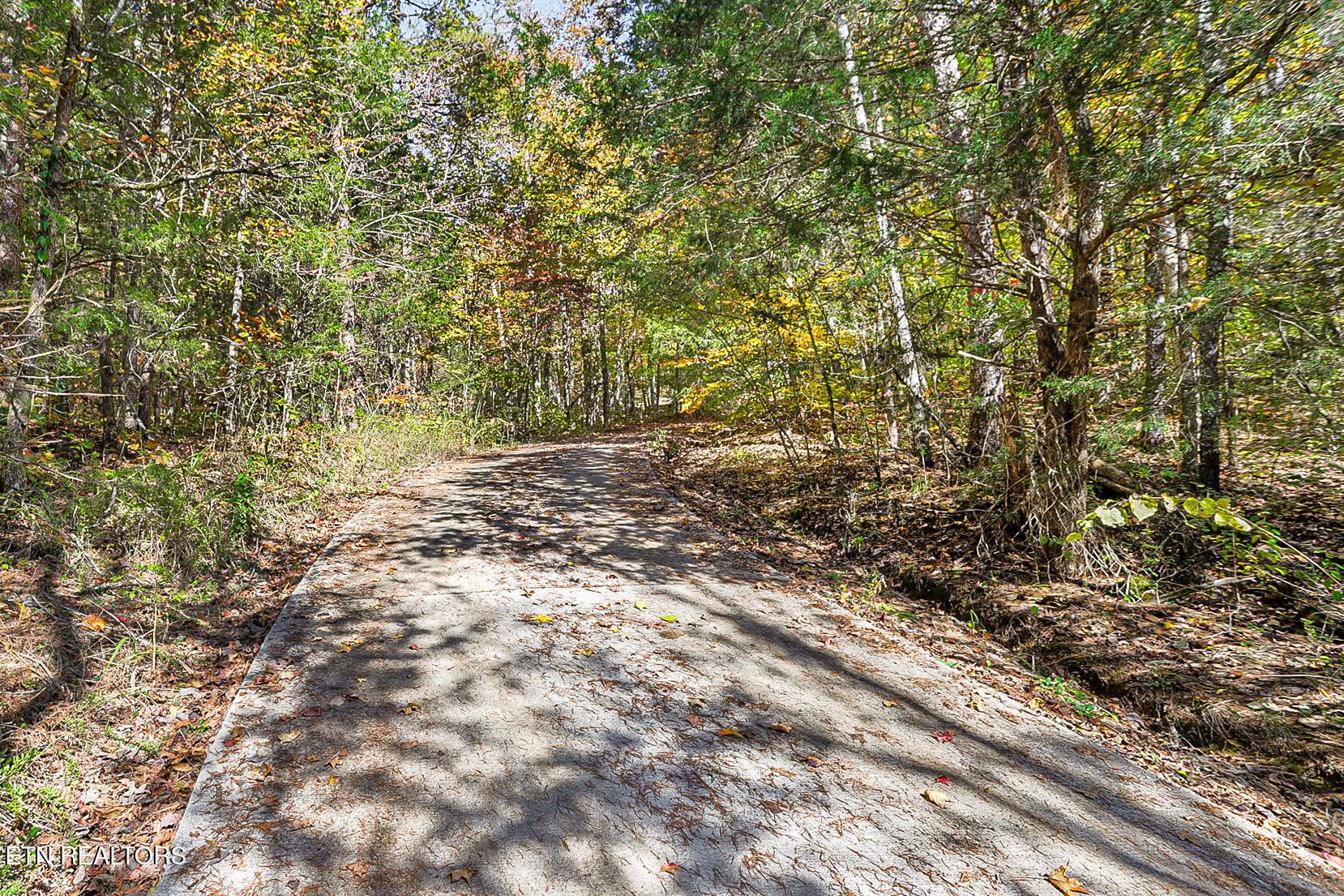 3201 Ballplay Road Madisonville, TN 37354 - Photo 12 of 60 Gallery Image 12