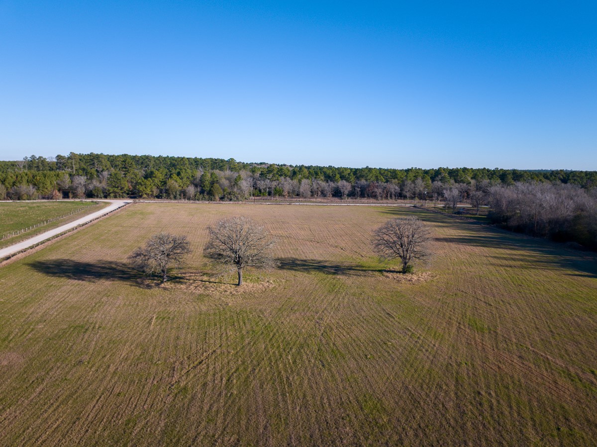 Tbd Tbd Dickey Loop Huntsville, TX 77320 - Photo 11 of 20