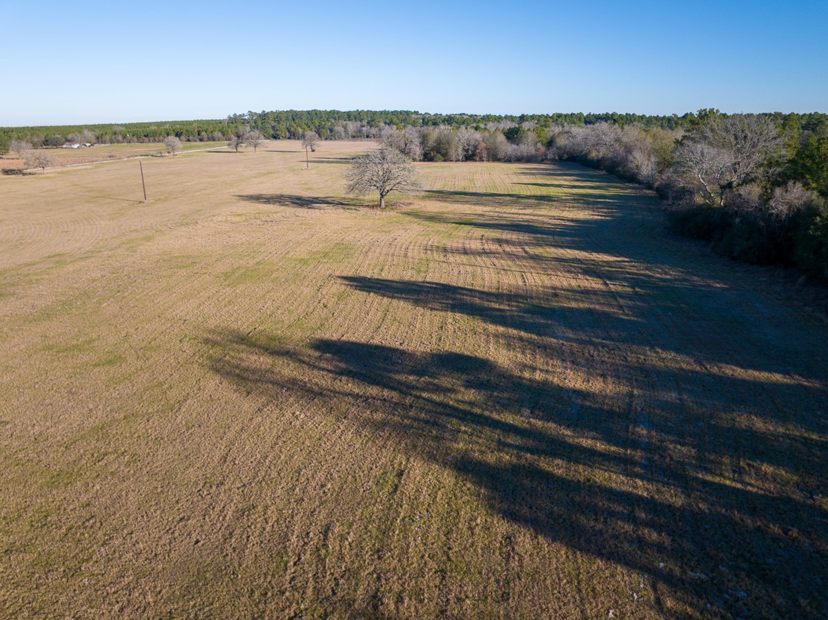 Tbd Tbd Dickey Loop Huntsville, TX 77320 - Photo 16 of 20