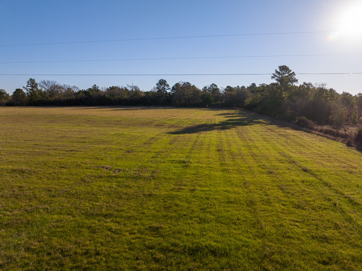 Tbd Tbd Dickey Loop Huntsville, TX 77320 - Photo 17 of 20