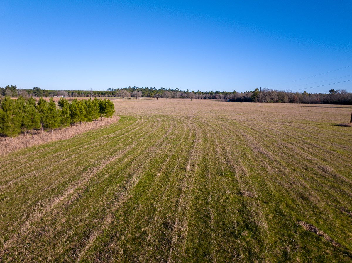 Tbd Tbd Dickey Loop Huntsville, TX 77320 - Photo 18 of 20