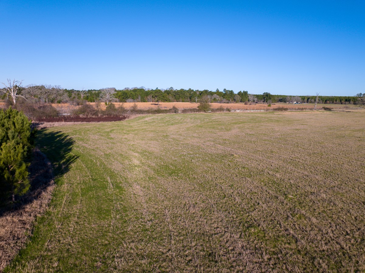 Tbd Tbd Dickey Loop Huntsville, TX 77320 - Photo 19 of 20