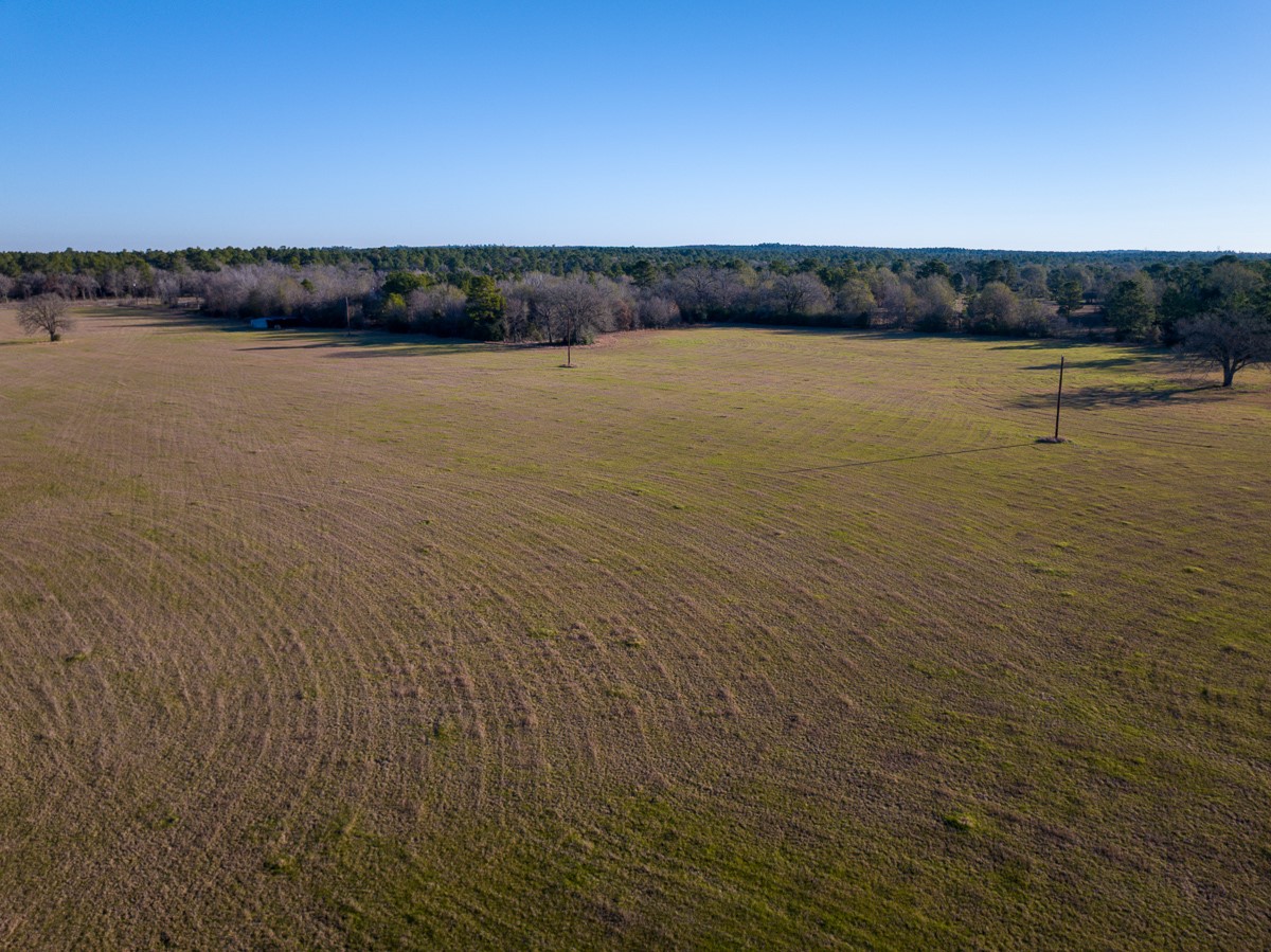 Tbd Tbd Dickey Loop Huntsville, TX 77320 - Photo 20 of 20