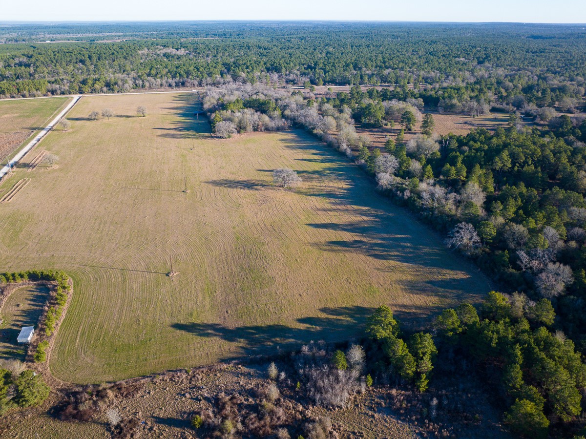 Tbd Tbd Dickey Loop Huntsville, TX 77320 - Photo 2 of 20