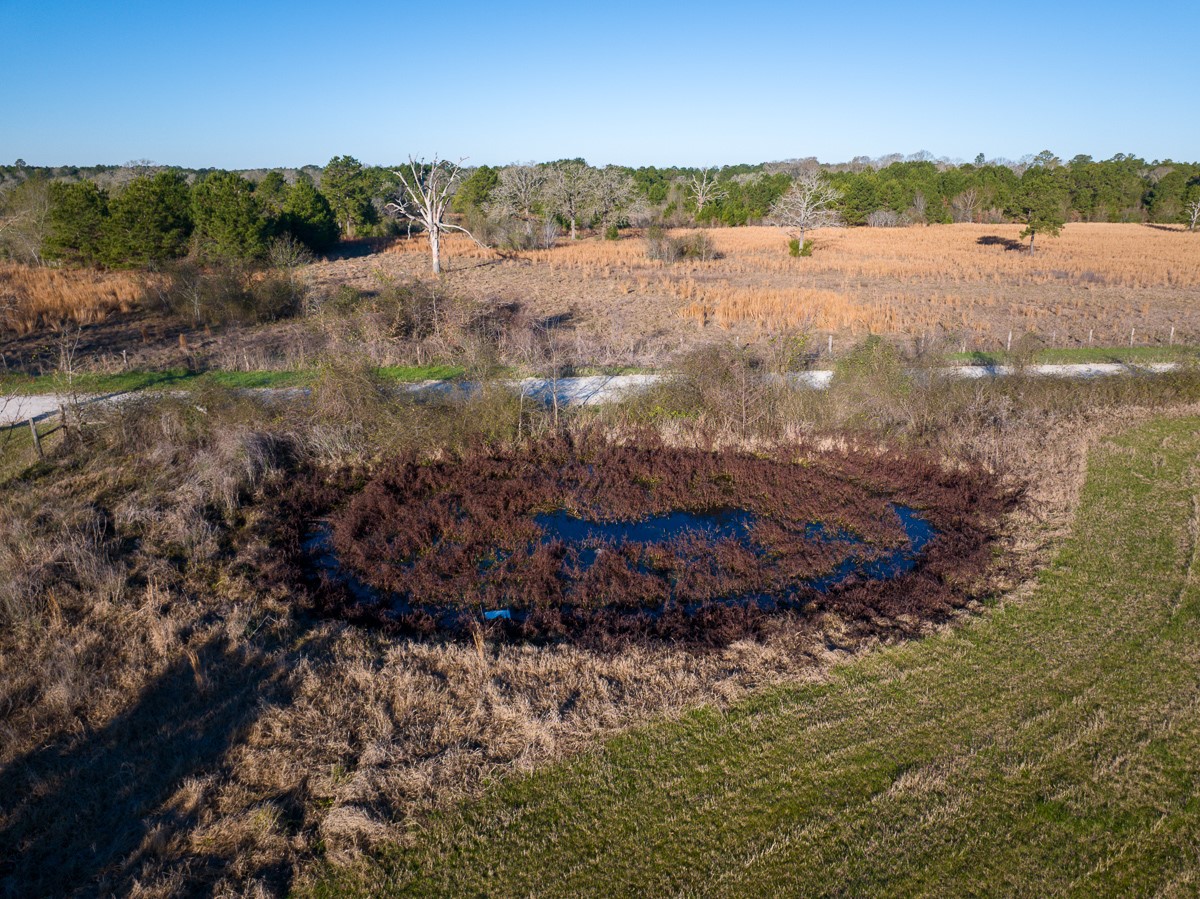 Tbd Tbd Dickey Loop Huntsville, TX 77320 - Photo 3 of 20