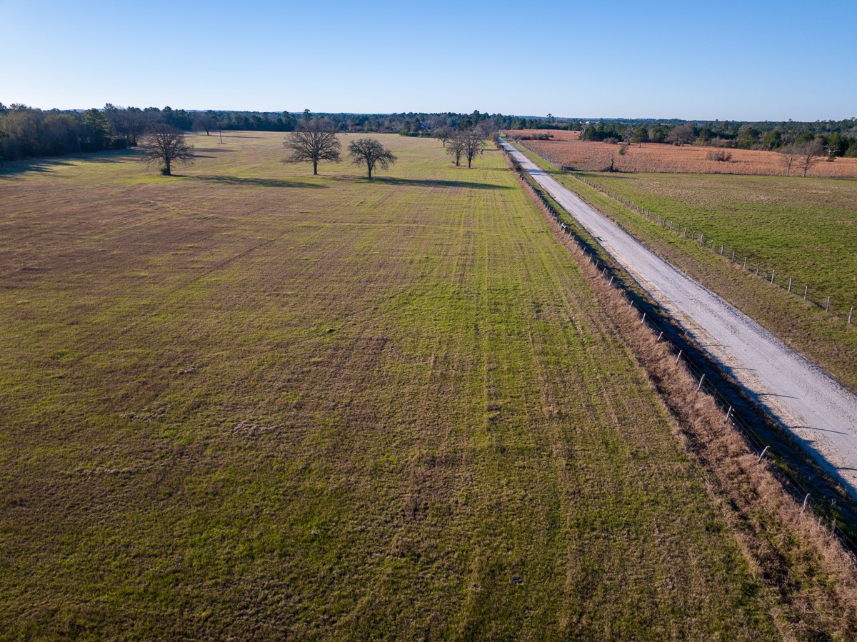Tbd Tbd Dickey Loop Huntsville, TX 77320 - Photo 6 of 20