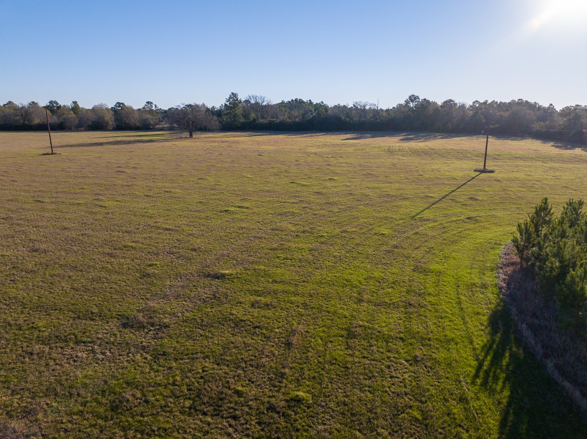 Tbd Tbd Dickey Loop Huntsville, TX 77320 - Photo 9 of 20