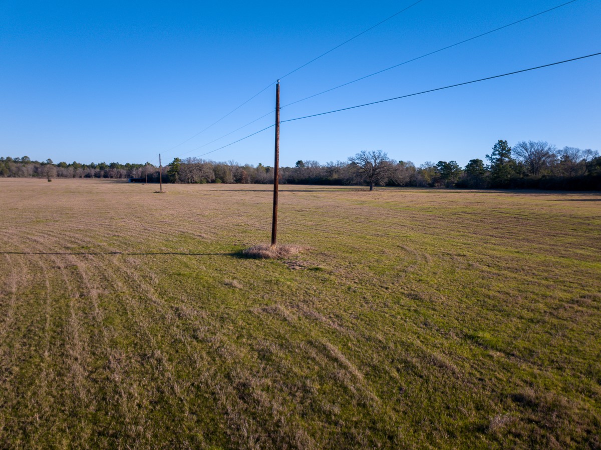 Tbd Tbd Dickey Loop Huntsville, TX 77320 - Photo 10 of 20
