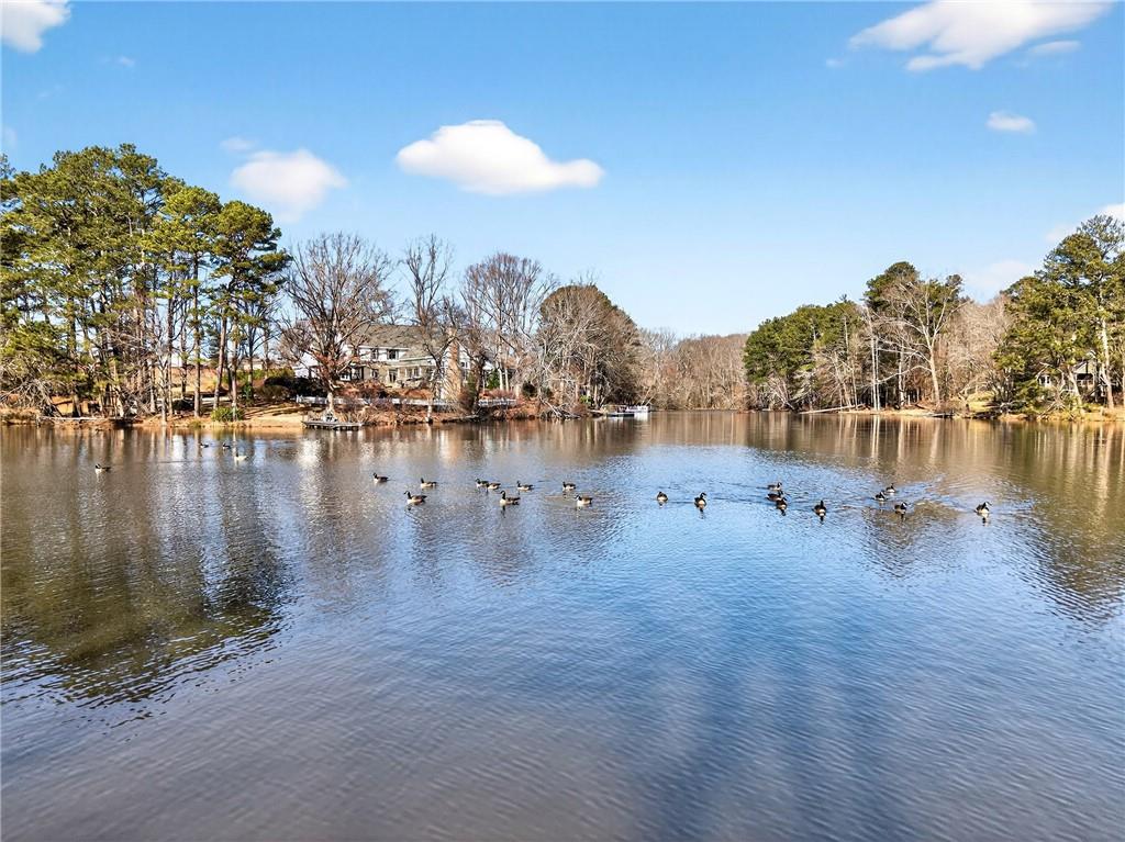 3185 Raskarity Road Cumming, GA 30041 - Photo 74 of 88