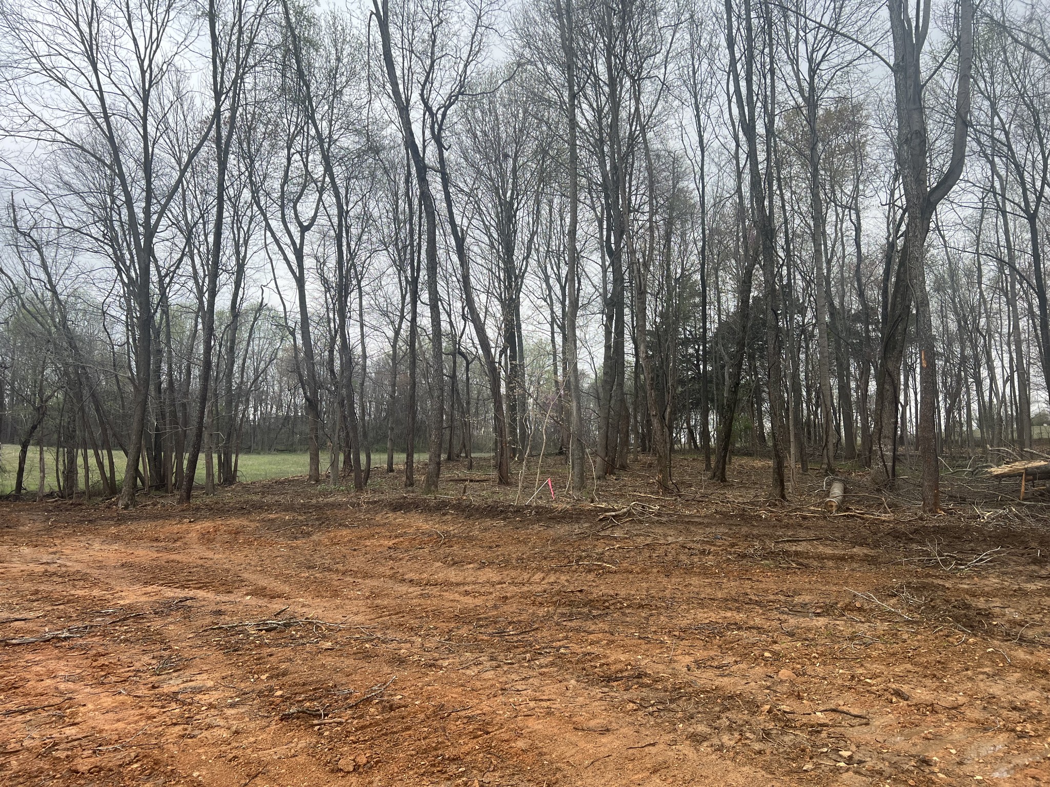 0 White Springs Road Lafayette, TN 37083 - Photo 2 of 4