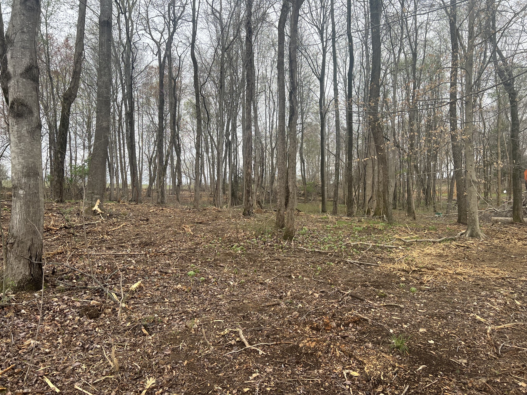 0 White Springs Road Lafayette, TN 37083 - Photo 3 of 4