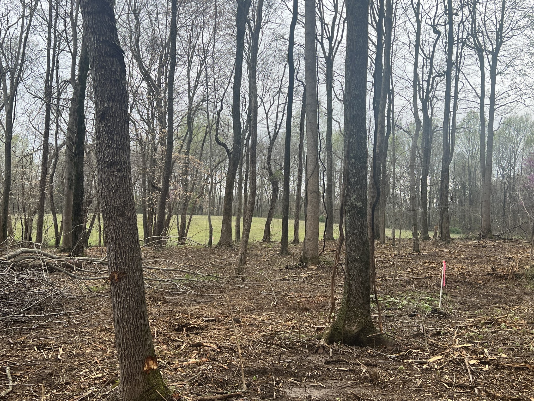 0 White Springs Road Lafayette, TN 37083 - Photo 4 of 4