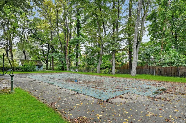 a view of a garden with a tree