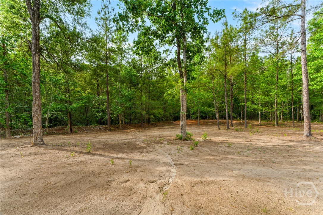 158 Cubbedge Drive Rincon, GA 31326 - Photo 66 of 75