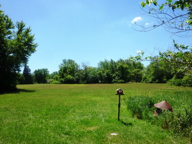 3631 Flossmoor Road Homewood, IL 60422 - Photo 3 of 9