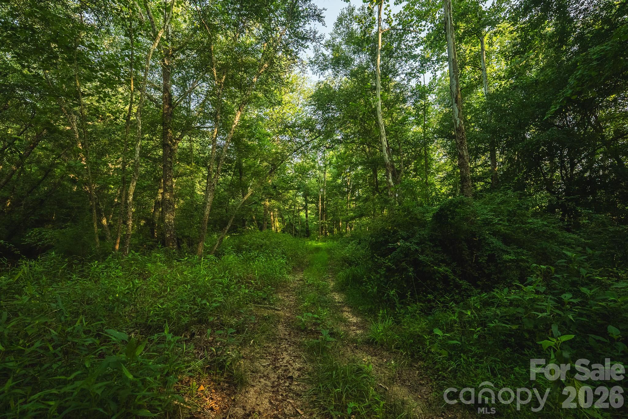 Tbd Sandbar Road Granite Falls, NC 28630 - Photo 38 of 43