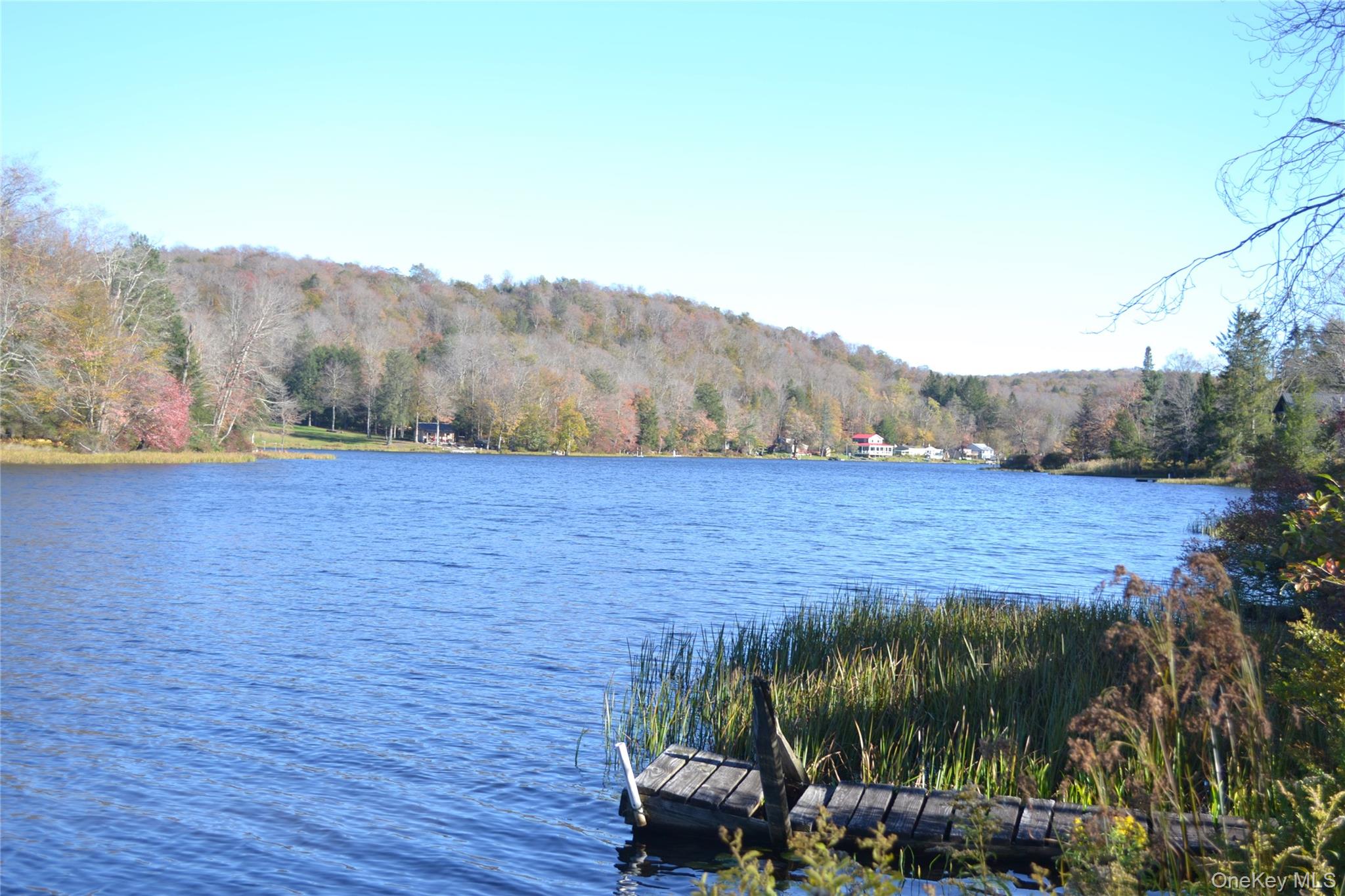 238 Trout Brook Road Roscoe, NY 12776 - Photo 1 of 32 a view of a backyard with mountain view