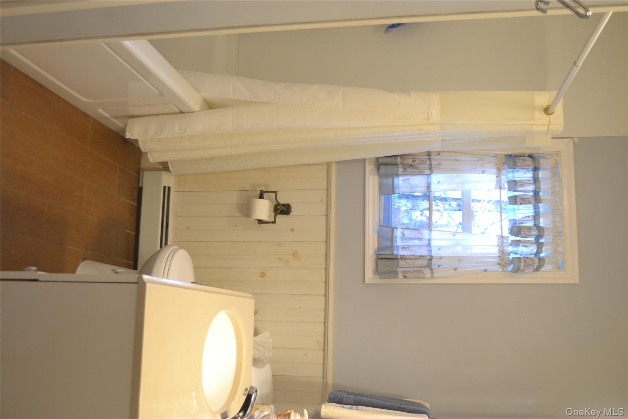 238 Trout Brook Road Roscoe, NY 12776 - Photo 16 of 32 a bathroom with a sink a toilet and shower