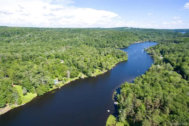 a view of a garden with a flower in a garden