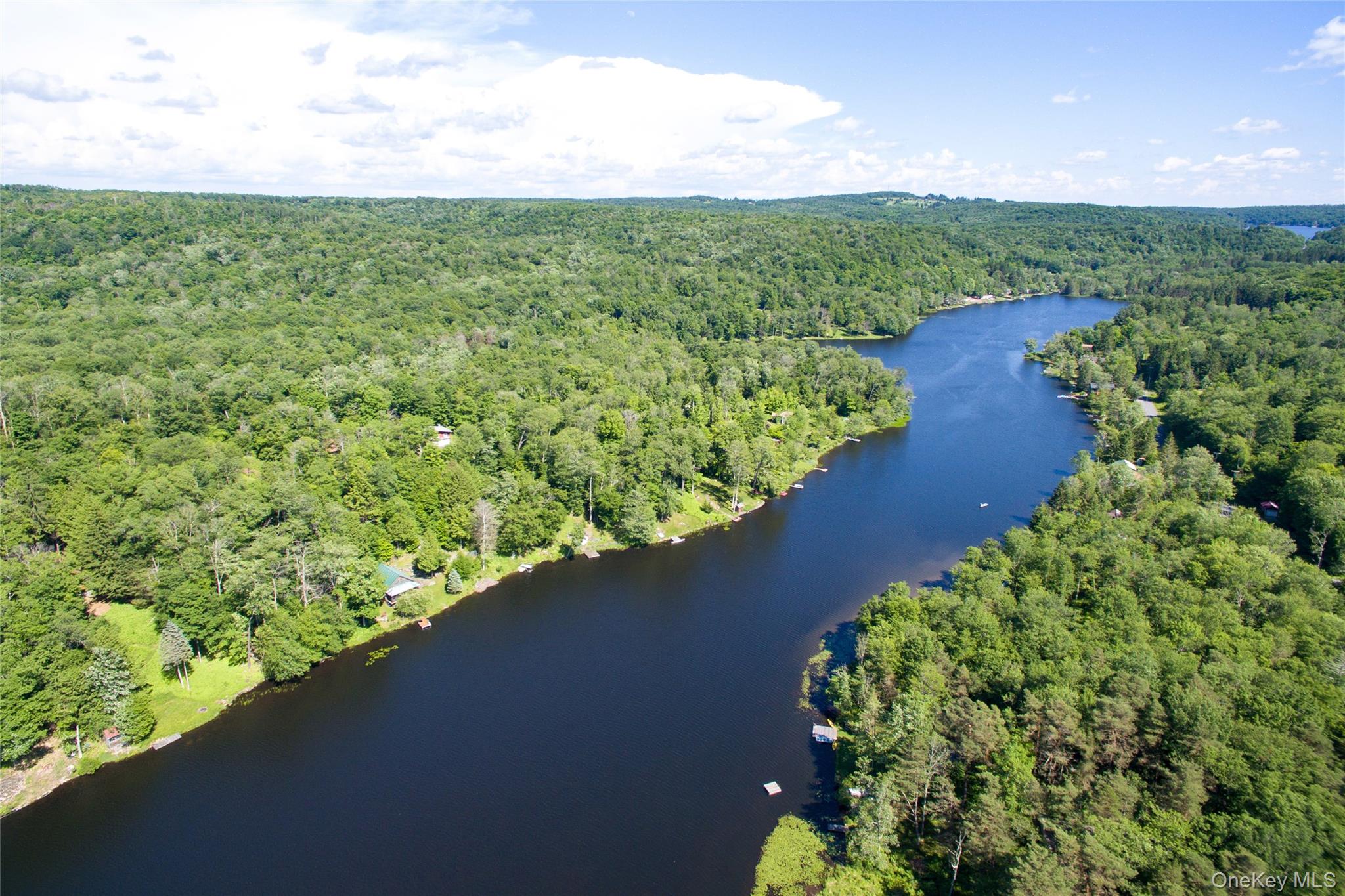 238 Trout Brook Road Roscoe, NY 12776 - Photo 31 of 32 a view of a garden with a flower in a garden