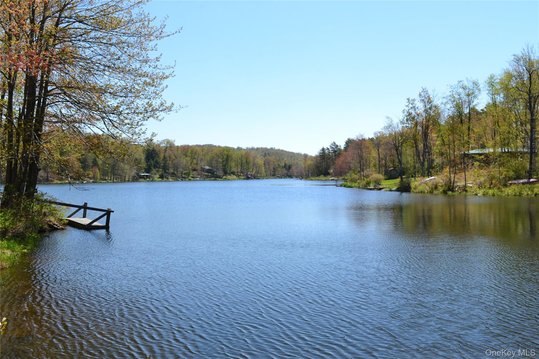 238 Trout Brook Road Roscoe, NY 12776 - Photo 32 of 32 a view of a lake with a yard and a wooden fence