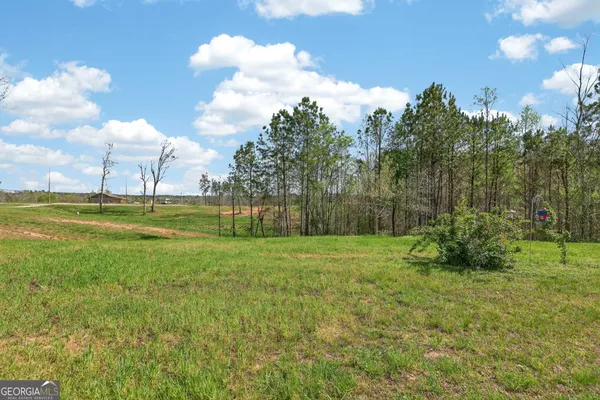 $329,999 | 1451 County Road 642, Muscadine, AL 36269