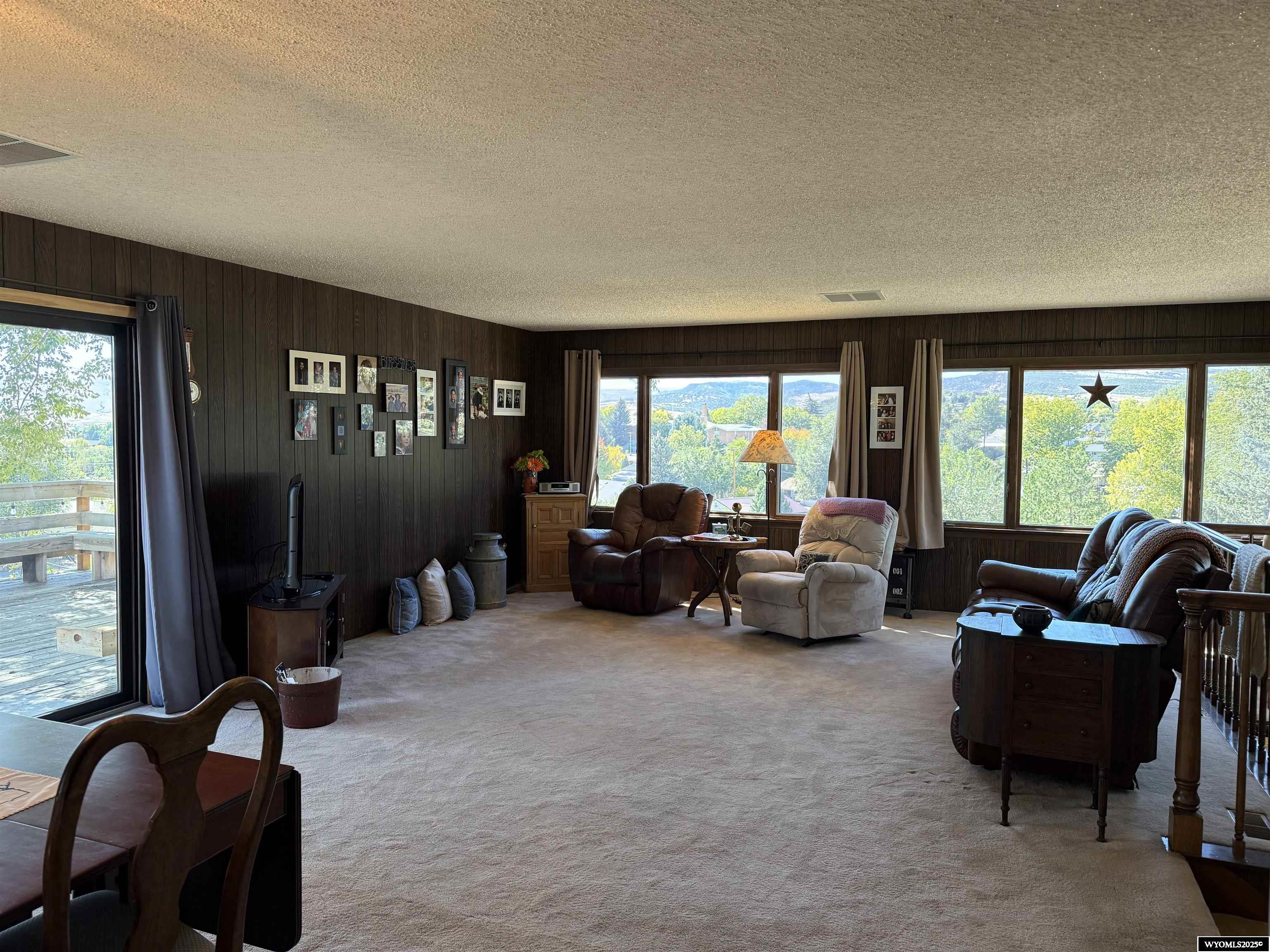 806 Amoretti Street Thermopolis, WY 82443 - Photo 11 of 50