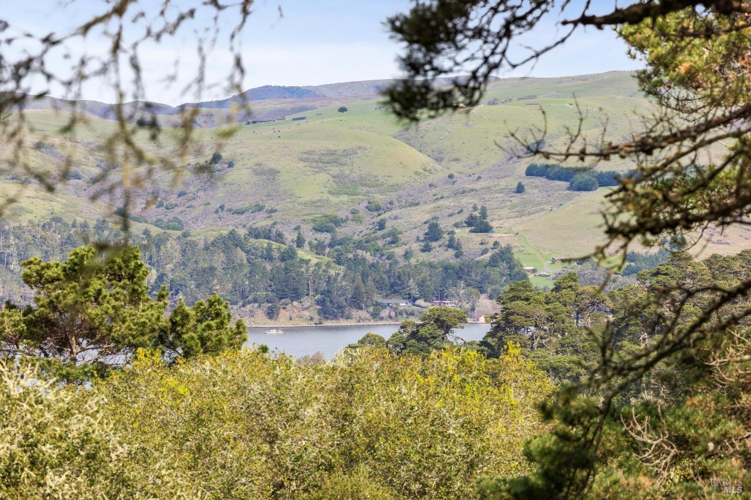 1208 Pierce Point Road Inverness, CA 94937 - Photo 80 of 89